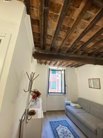 Apt Bruco Apartment Siena Ngoại thất bức ảnh